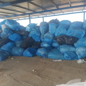 WhatsApp Image 2026-01-29 at 3.41.19 AM