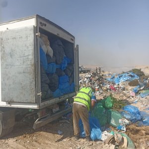 WhatsApp Image 2026-01-29 at 3.41.33 AM